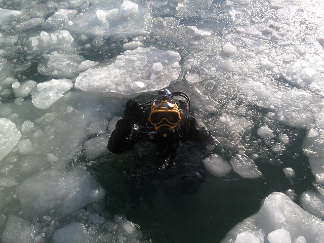 diver 400069 640